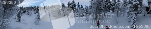 Image of Panorama winter landscape