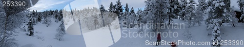 Image of Panorama winter landscape