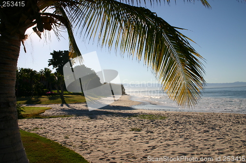 Image of Mexican beach with palm trees