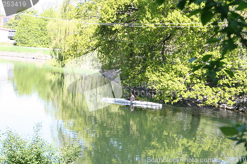 Image of Canoe in pond