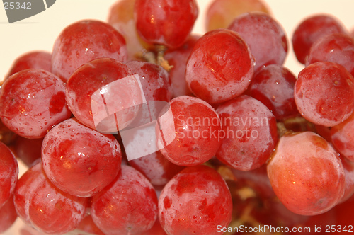 Image of RED GRAPES