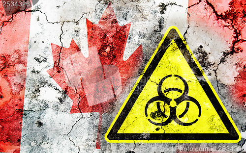 Image of Old cracked wall with biohazard warning sign and painted flag