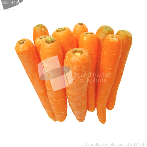 Image of Carrots isolated