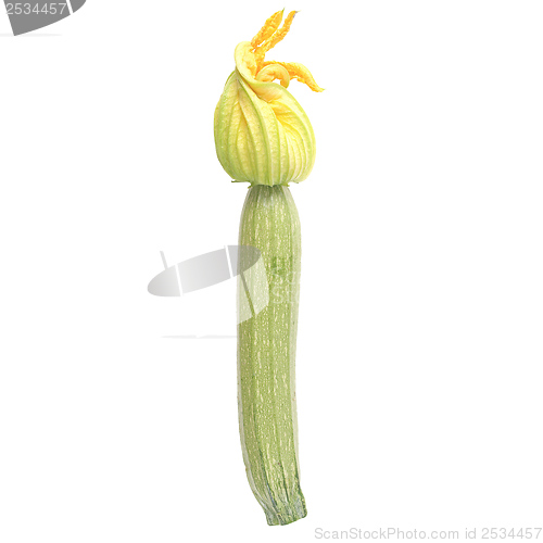 Image of Courgettes zucchini