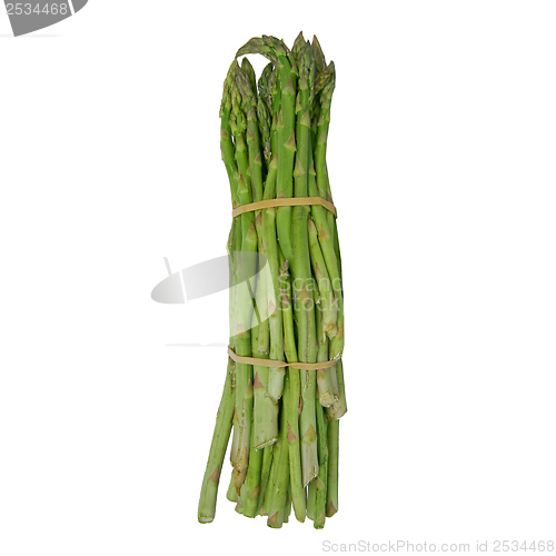 Image of Asparagus isolated