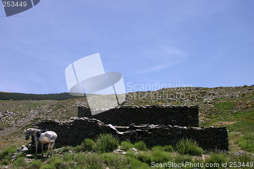 Image of White horse by old building in the Sierra Nevada mountains, Spain