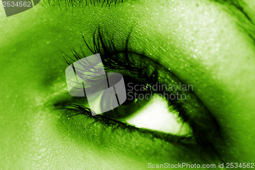 Image of Brown eye