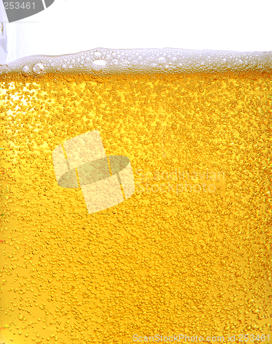 Image of Beer and bubbles