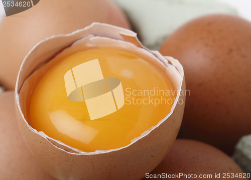 Image of Egg yolk macro