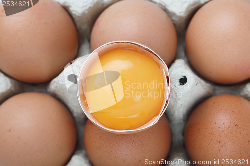 Image of Egg yolk from above