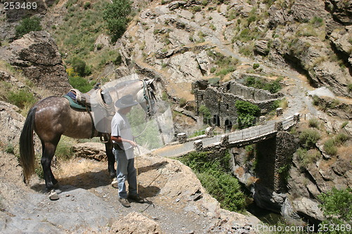 Image of Man and horse by bridge, Las Alpujarras, Spain