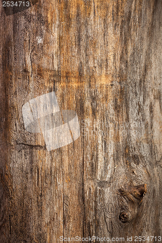 Image of wood texture