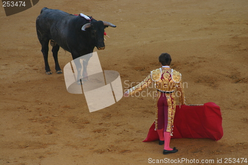 Image of Bullfighter in Granada, Spain