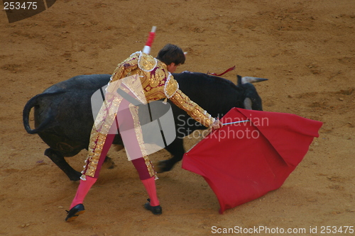 Image of Bullfighter in Granada, Spain