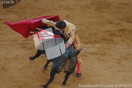 Image of Bullfighter in Granada, Spain