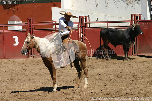 Image of Mexican charro with lasso