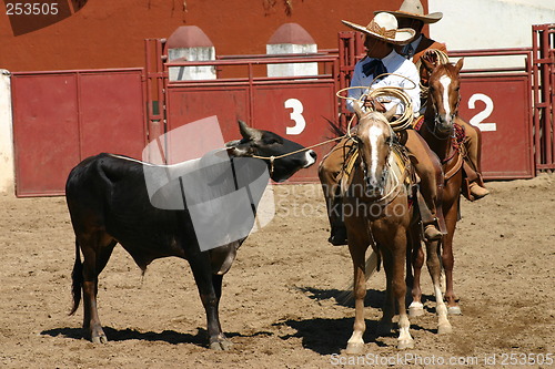 Image of Mexican charros with bull