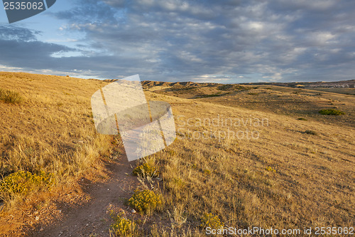 Image of trail through Colorado prairie