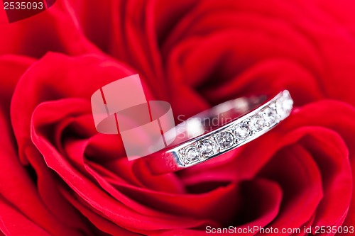 Image of Diamond engagement ring in the heart of a red rose