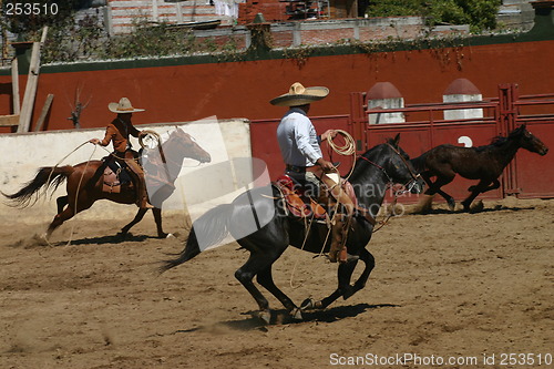 Image of Mexican charros chasing a little pony