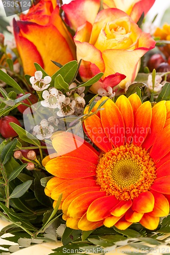 Image of Vivid orange gerbera daisy in a bouquet