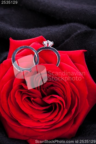 Image of Diamond engagement ring in the heart of a red rose