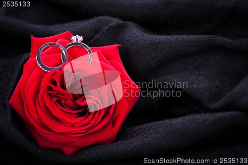 Image of Diamond engagement ring in the heart of a red rose