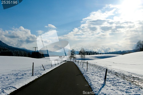 Image of forest and field  winter landscape