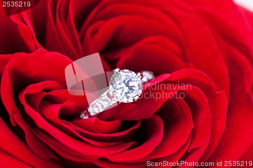 Image of Diamond engagement ring in the heart of a red rose