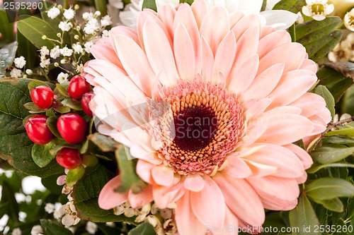 Image of Bouquet of fresh pink and white flowers