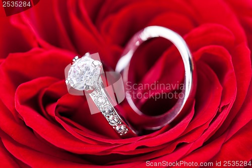 Image of Diamond engagement ring in the heart of a red rose