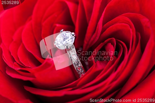 Image of Diamond engagement ring in the heart of a red rose