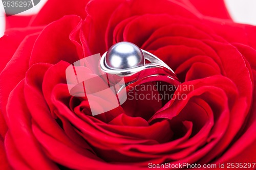 Image of Diamond engagement ring in the heart of a red rose