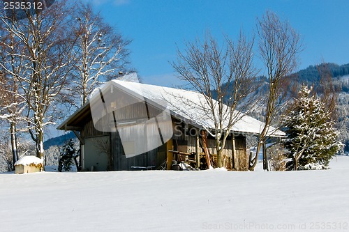 Image of forest and field  winter landscape