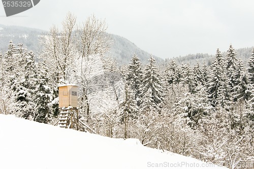 Image of forest and field  winter landscape