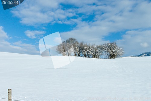 Image of beautiful sunny landscape in winter with blue sky