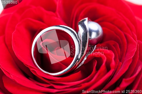 Image of Diamond engagement ring in the heart of a red rose