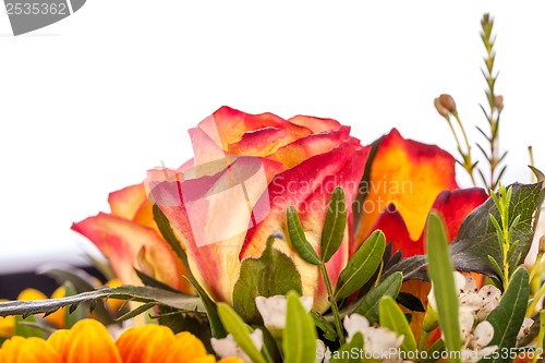 Image of Background of vivid orange roses