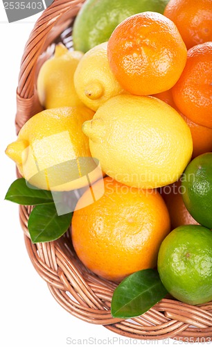 Image of Fresh citrus fruit with leaves in a wicker basket