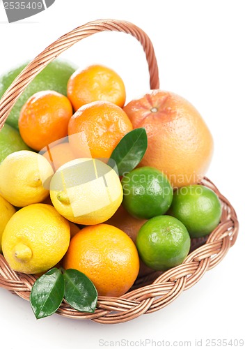 Image of Fresh citrus fruit with leaves in a wicker basket