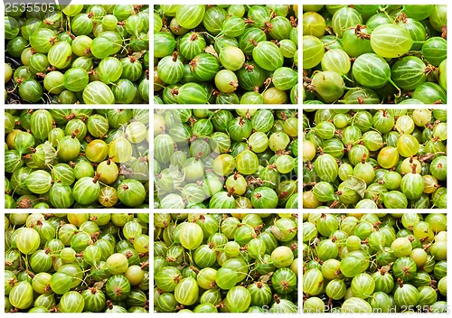 Image of Gooseberries