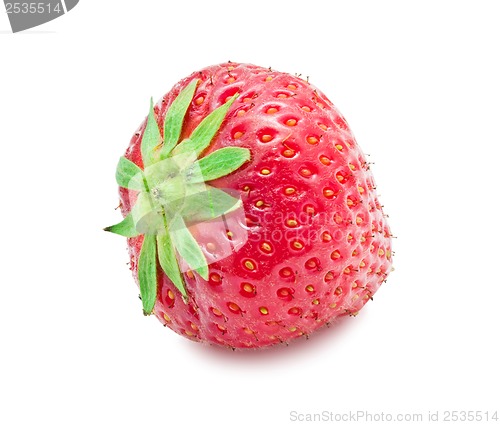 Image of Strawberry