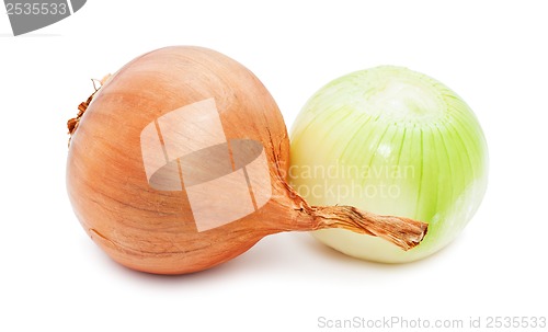 Image of Onion