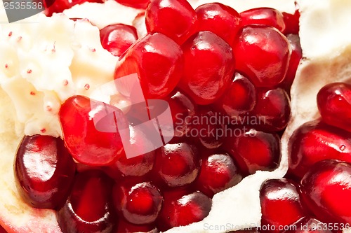 Image of Pomegranate