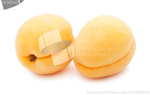 Image of Apricots