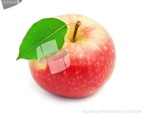 Image of Apple