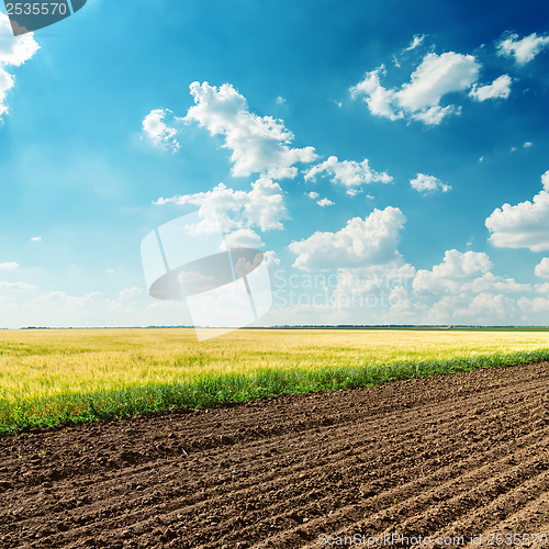 Image of agriculture fields under deep blue cloudy sky