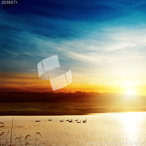 Image of sunset over lake with swans