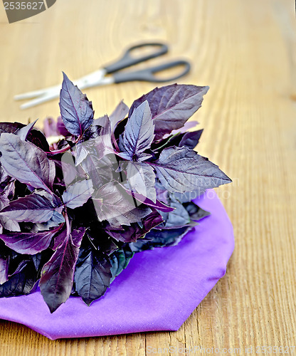 Image of Basil purple with scissors on a board