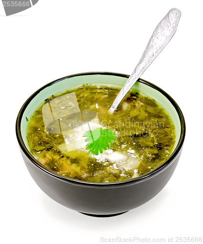 Image of Soup green nettle